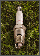 Champion-Lawn-Garden-Spark-Plug